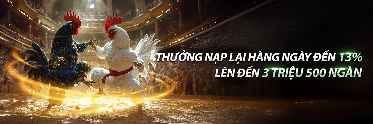 Đá gà trực tuyến 8ki.7 với không khí sôi động